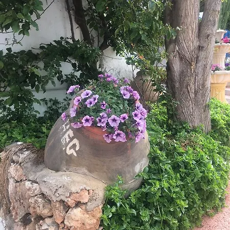 Cala D'or Park *